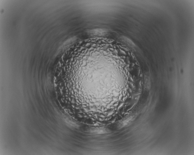 X0000062930377200601131517