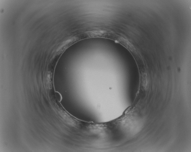 X0000062930378200601131517