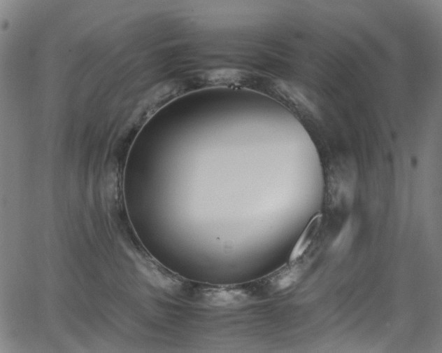 X0000062930379200601131517