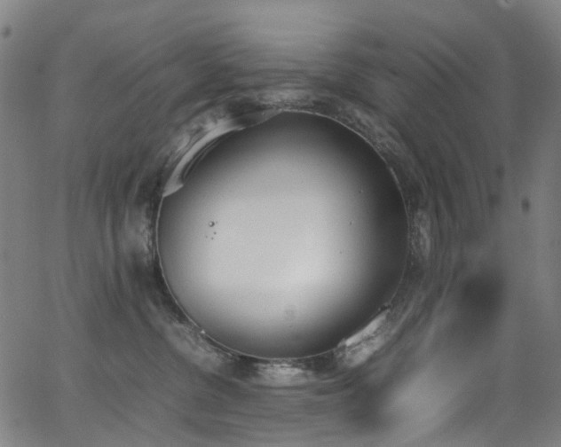 X0000062930380200601131517