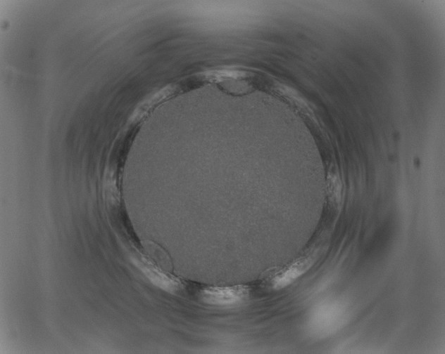 X0000062930381200601131518