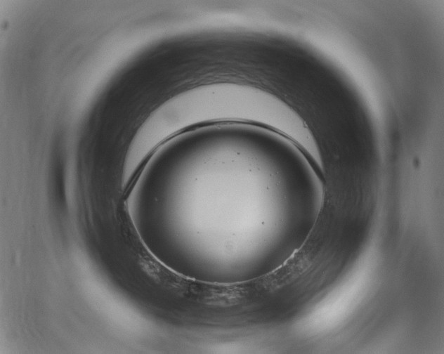 X0000062930382200601131518