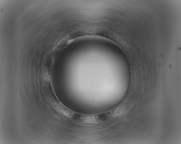 X0000062930384200601131518