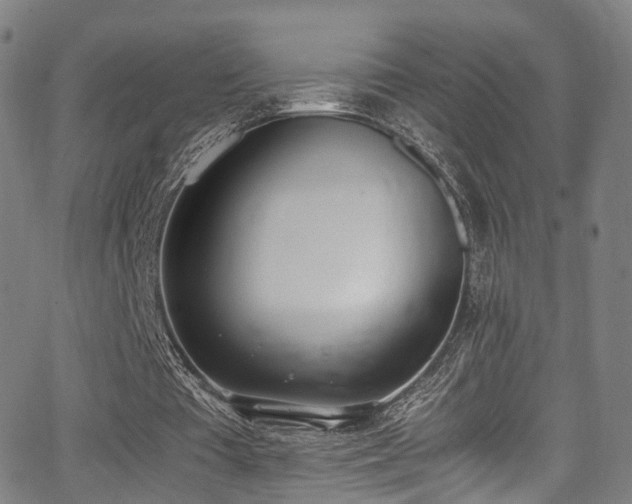 X0000062930385200601131517