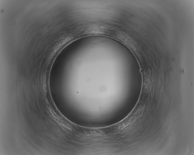 X0000062930386200601131517