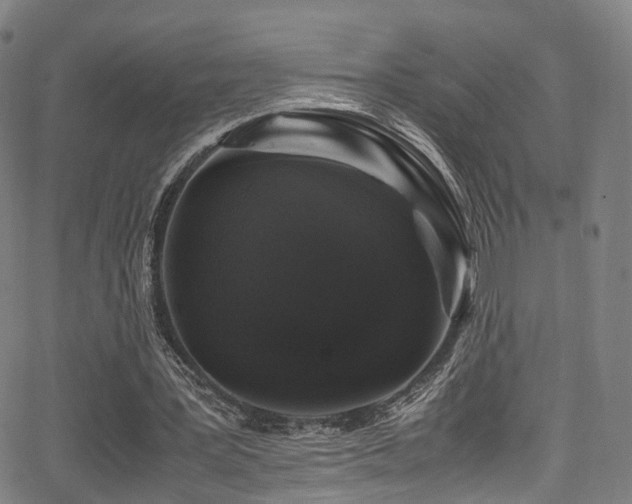 X0000062930387200601131517