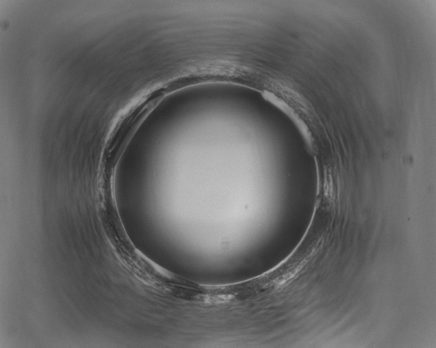 X0000062930388200601131517