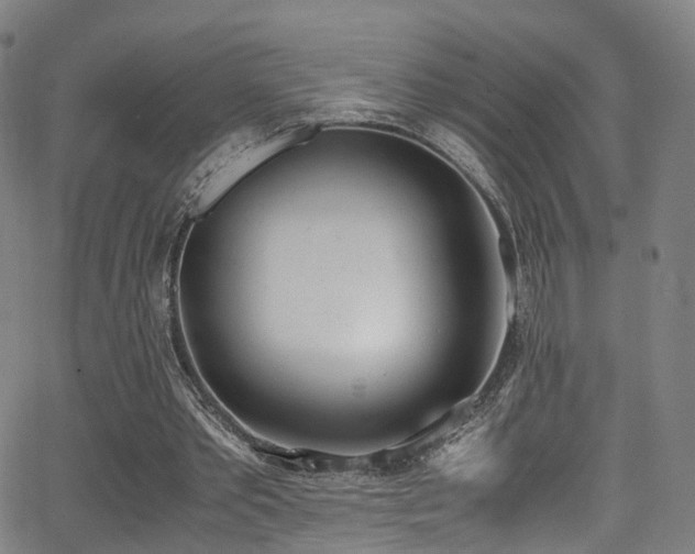 X0000062930389200601131517