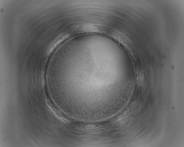 X0000062930390200601131517