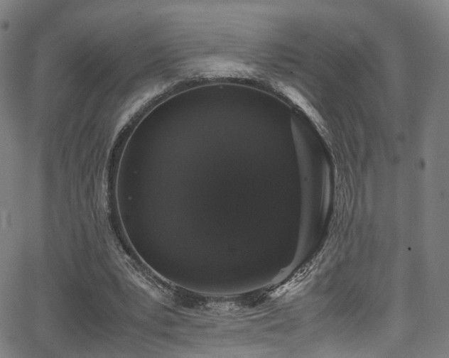 X0000062930391200601131517