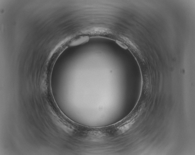 X0000062930392200601131517