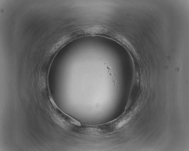 X0000062930393200601131517