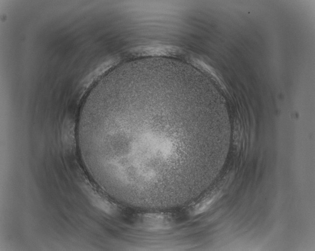 X0000062930394200601131517