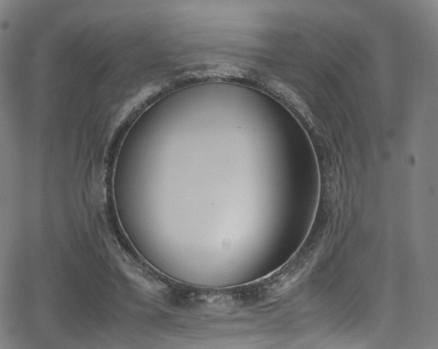 X0000062930395200601131517