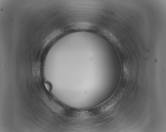 X0000062930396200601131517