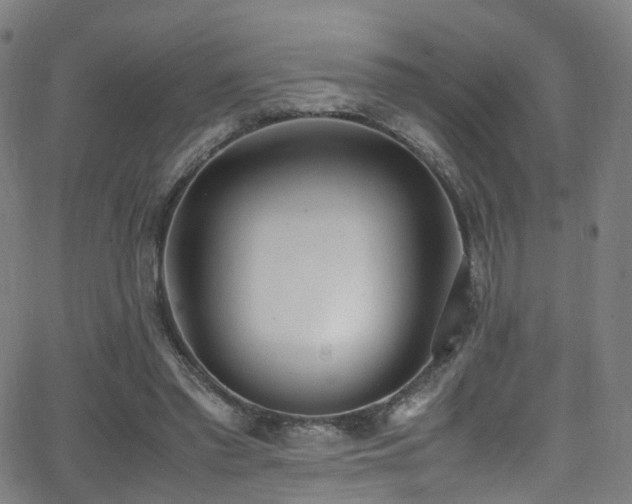 X0000062930397200601131517