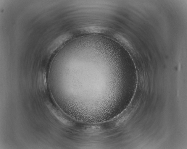 X0000062930398200601131517