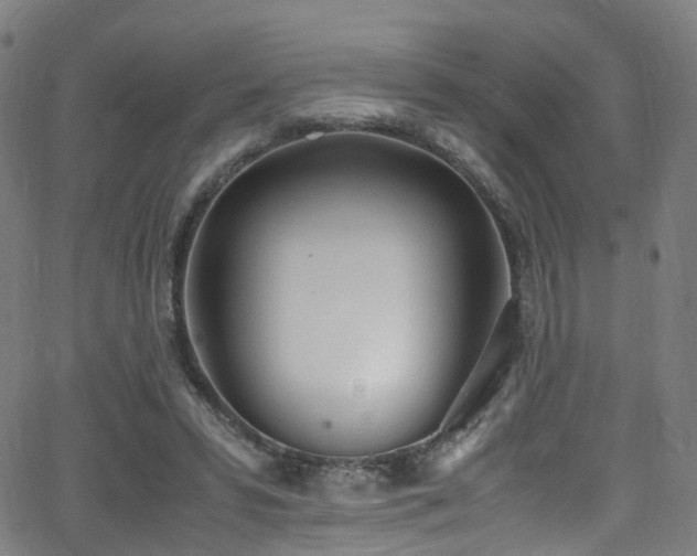 X0000062930399200601131516