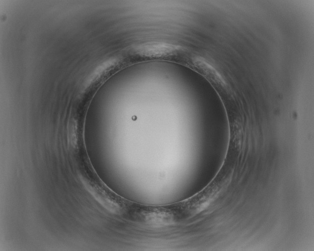 X0000062930400200601131516