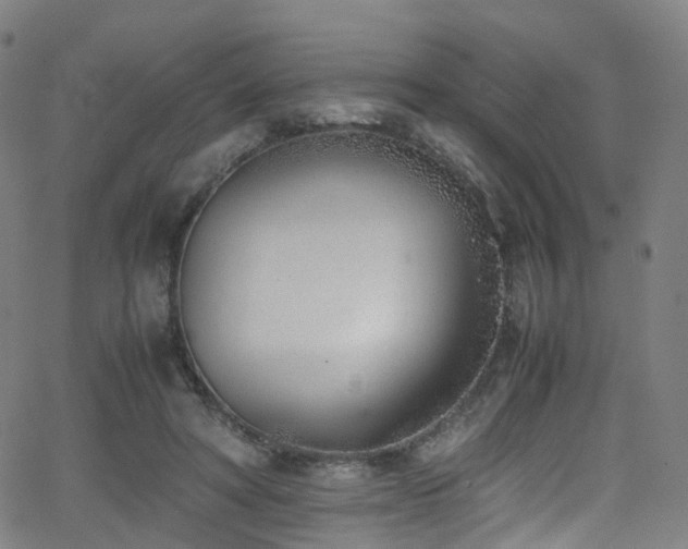 X0000062930402200601131516