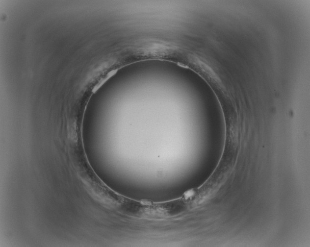 X0000062930403200601131516