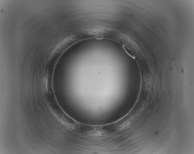 X0000062930404200601131516