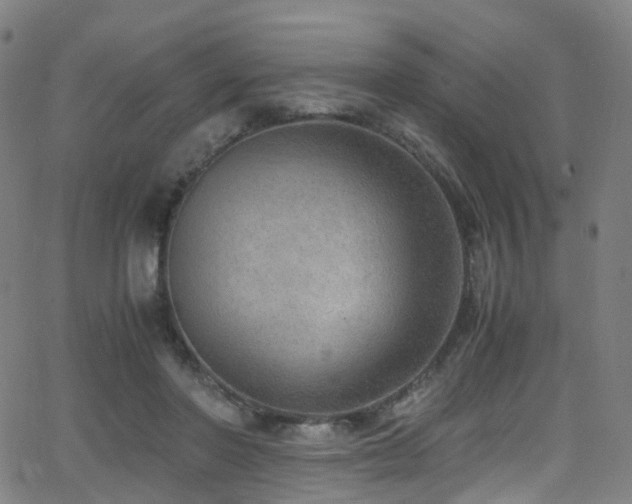 X0000062930406200601131516