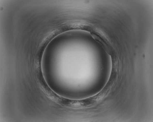 X0000062930407200601131516