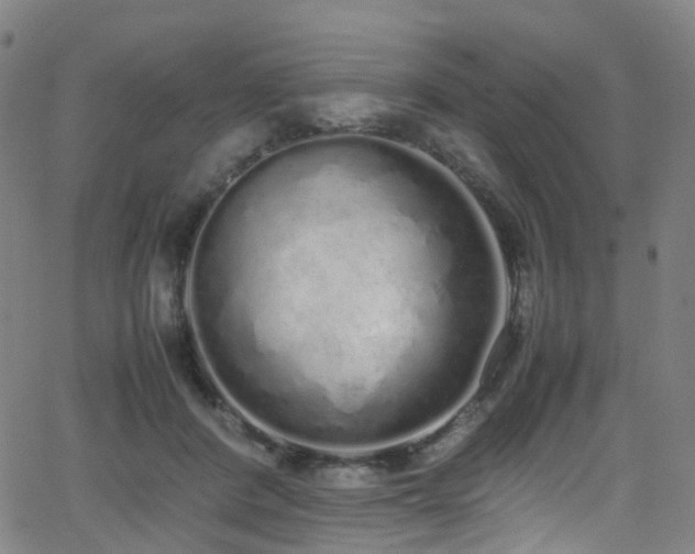 X0000062930408200601131516