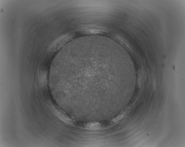 X0000062930410200601131516