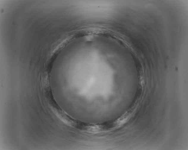 X0000062930411200601131516