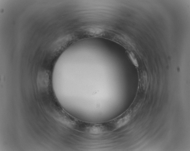 X0000062930412200601131516