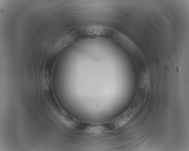 X0000062930414200601131516