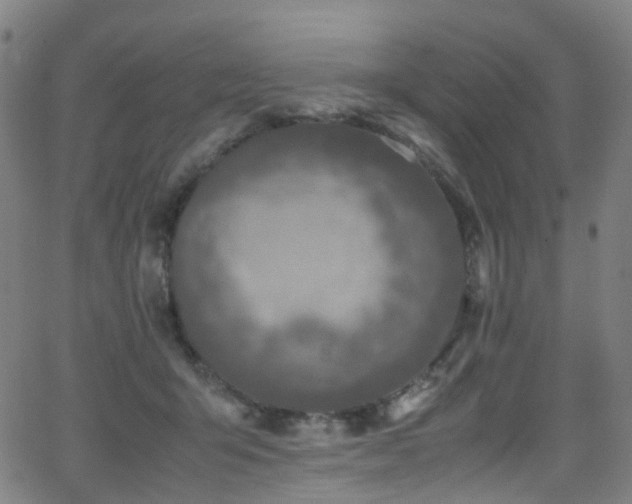 X0000062930415200601131516