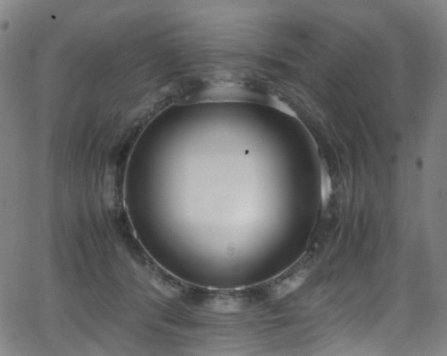 X0000062930416200601131516