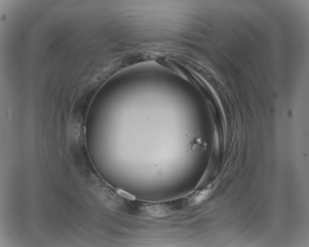 X0000062930417200601131516