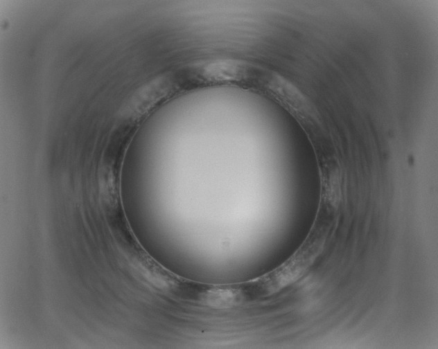 X0000062930418200601131516