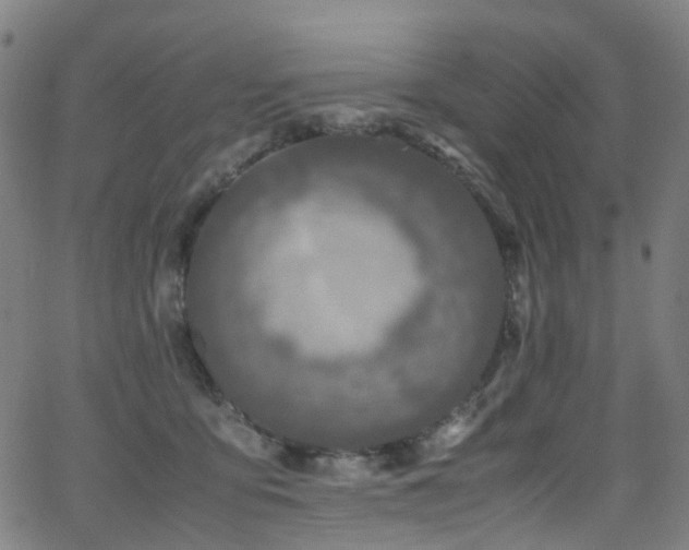 X0000062930419200601131516