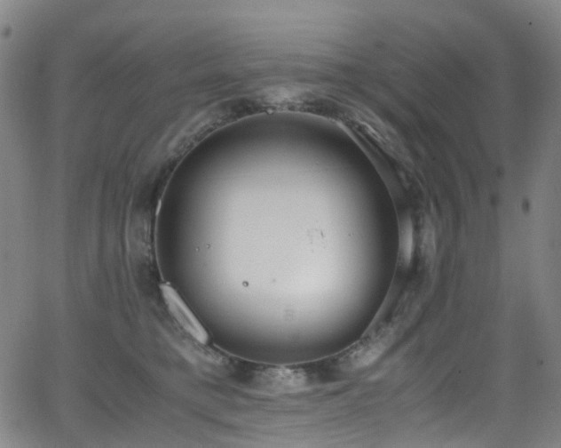 X0000062930421200601131516