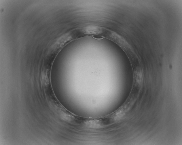 X0000062930422200601131516