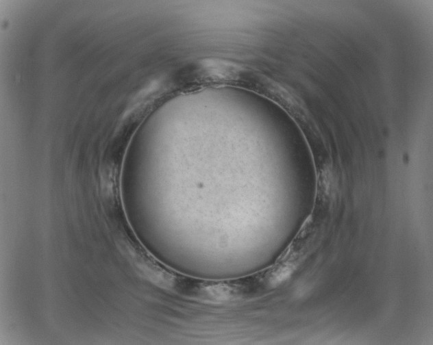 X0000062930423200601131516