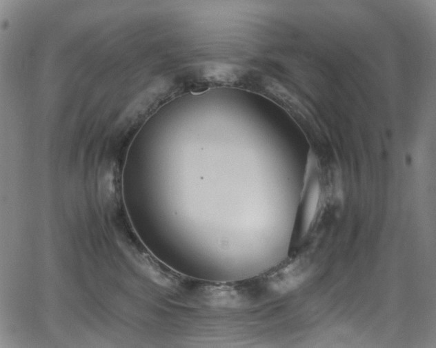 X0000062930424200601131516