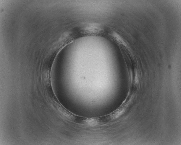 X0000062930425200601131516