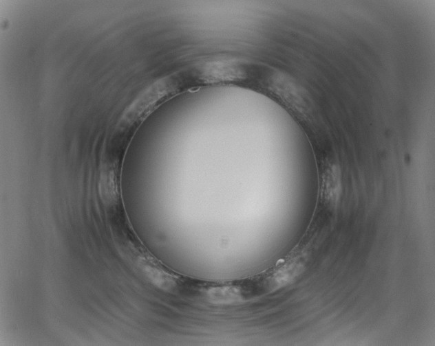 X0000062930426200601131516