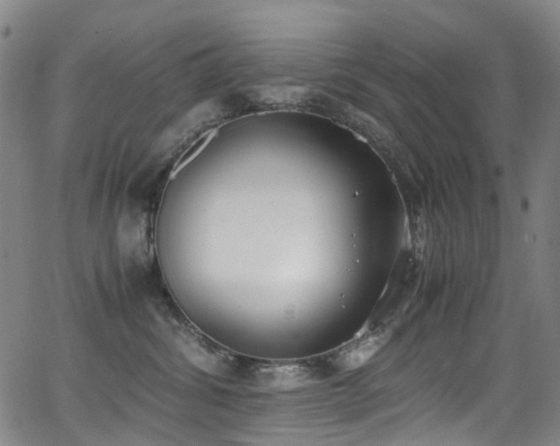 X0000062930428200601131516