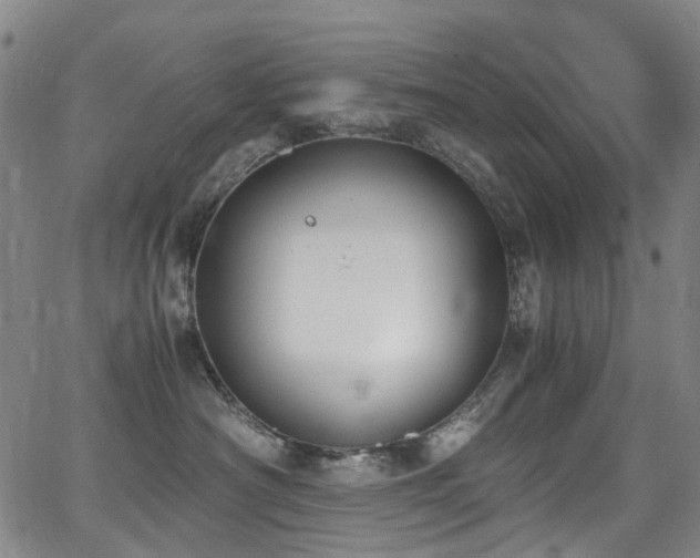 X0000062930430200601131516