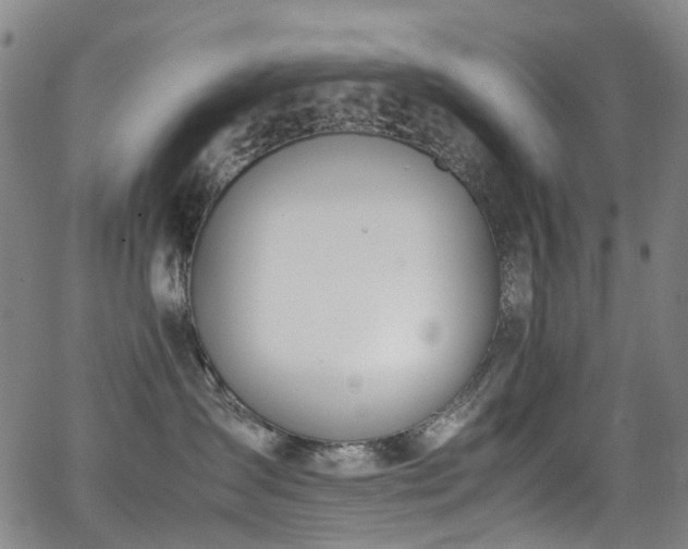 X0000062930431200601131516