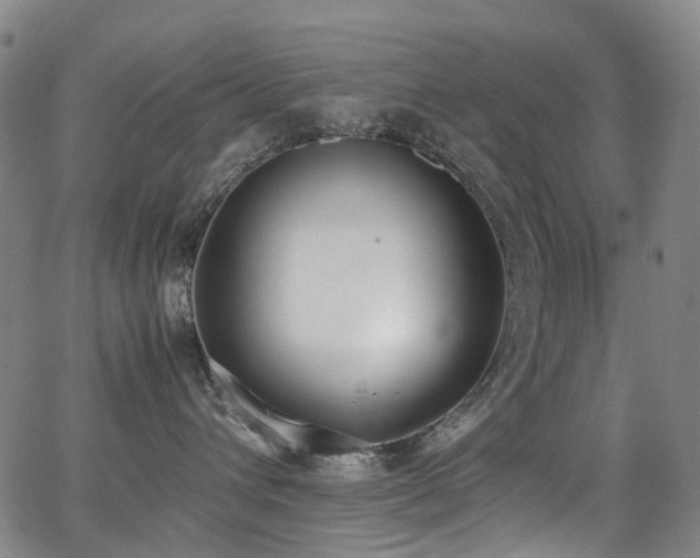 X0000062930432200601131516