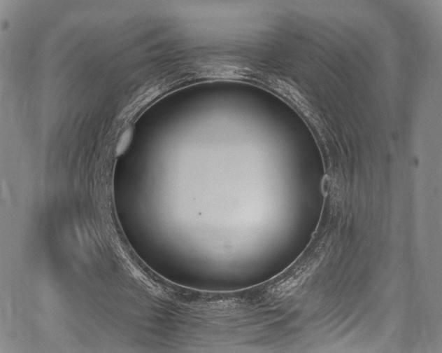 X0000062930433200601131515