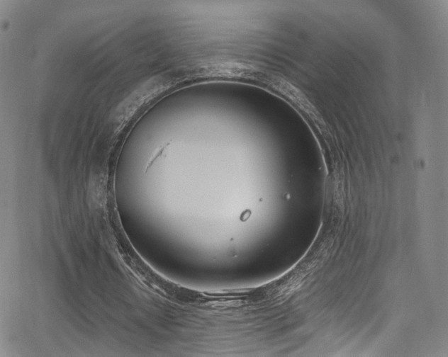 X0000062930434200601131515